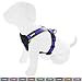 Pawtitas Reflective Dog Harness Padded Dog Harness Provides Comfort Control for a Walk or Running Great Pet Accessories Dog Vest S Small Purple Dog Harness