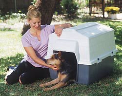Barn Home II Pet Door, Large Clear