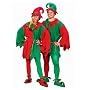 Adult Economy Elf Set