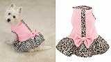 XX-SMALL - Sugar and Spice Dog Dress