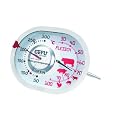 Gefu 21800 Braten- und Ofenthermometer 3 in 1