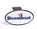 Steamboat Resort hitch cover