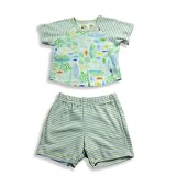 Pepper Toes Layette by Baby Lulu - Newborn And Infant Boys Short Sleeve Short Set, Blue, Green (Size 12Months)