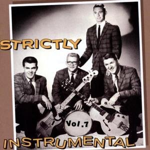 CD-Charts  Search : Strictly Instrumental, Vol. 7