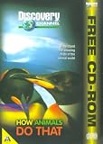 Buffy The Vampire Slayer - Season 2 - Episodes 5 to 8 [1998]