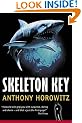 Skeleton Key (Alex Rider)