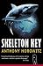 Skeleton Key (Alex Rider)