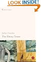 The Ebony Tower (Contemporary Classics)