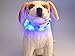 LED Pet Dog Collar,Pashion USB Rechargeable LED Light-Up Safety Neck Loop One Size Fits All Waterproof Night Safety Pet Dog Collar (Blue)