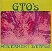 Permanent Damage (1969 Lp Gatefold Original)