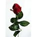 Artificial Silk Rose Single Stem - 56cm, Red