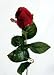 Artificial Silk Rose Single Stem - 56cm, Red