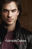 Television Posters: Vampire Diaries - Damon Salvatore - 61x91.5cm Television Posters: Vampire Diaries - Damon Salvatore - 61x91.5cm