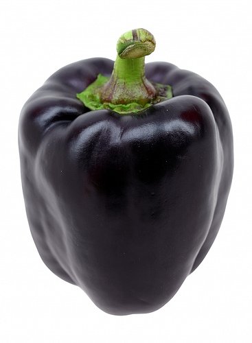 Purple Beauty Bell Pepper 20 Seeds