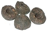 Puerh Toucha, 4oz. by EnjoyingTea