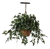 English Ivy Hanging Basket Silk Plant - B001DQH9BI