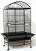 Brand New Parrot Bird Wrought Iron Cage Dome-Top 32x23x66-WI32ASR