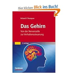 Das Gehirn: Von der Nervenzelle zur Verhaltenssteuerung