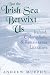 But the Irish Sea Betwixt Us: Ireland, Colonialism, and Renaissance Literature (Irish Literature, History, and Culture)
