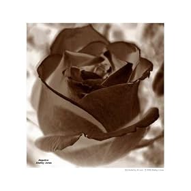Negative Motivational Photographic Poster Print by Shelley L Jones, 8x10