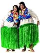 Princess Kamoniwannalaya Hawaiian Costume (Wig, Lei and Sandals not included - Includes ONE costume only picture to suggest it would be fun for couples)