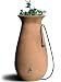 Shop for rain barrels