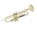 41CROp27cXL. SL75  Hazelton Gold Lacquer Trumpet with case