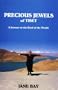 Precious Jewels of Tibet: A Journey to the Roof of the World