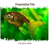 41CRZ9YaG2L. SL160  Aquarium Powerpoint Templates   Aquarium Powerpoint Backgrounds Themes