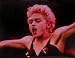 Madonna 8 X 10 Color Concert Photograph (Music Memorabilia)