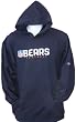 Youth Chicago Bears Team Color Pullover Hoodie