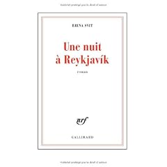 Une nuit � Reykjavik