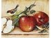 Magic Slice Apples and Warblers Cutting Board Set 2-pc.