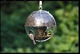 Duncraft Super Cling-A-Wing Globe Feeder
