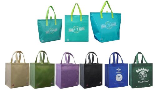 3 Insulated Aqua Color Tote Bags + Reusable Grocery Tote Bag 6 Pack Combo
