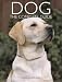 Dog: The Complete Guide (Complete Animal Guides) cover image