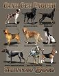 Can't Get Enough Hunting Dogs