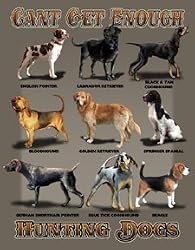 Can't Get Enough Hunting Dogs