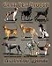 Can't Get Enough Hunting Dogs