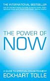 The power of now : a guide to spiritual enlightenment