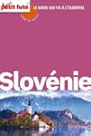 SLOV�NIE 2012-2013