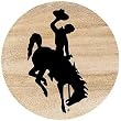 Thirstystone Natural Sandstone Set of 4 Coasters University of Wyoming