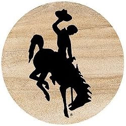 Thirstystone Natural Sandstone Set of 4 Coasters University of Wyoming