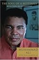 The Soul of a Butterfly: Reflections on Life's Journey