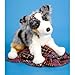 Plush Driver Australian Shepherd 14