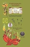 Prophezeiung der Apokalypse: Eine Expedition vom Garten Eden zum Neuen Jerusalem: (German Edition)