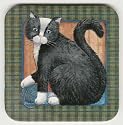 Black & White Cat with Blue Yarn