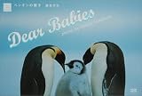 Dear Babies―ペンギンの親子 (Postcard book)の画像