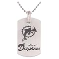 Mens NFL Titanium Dog Tag with Chain- Dolphins