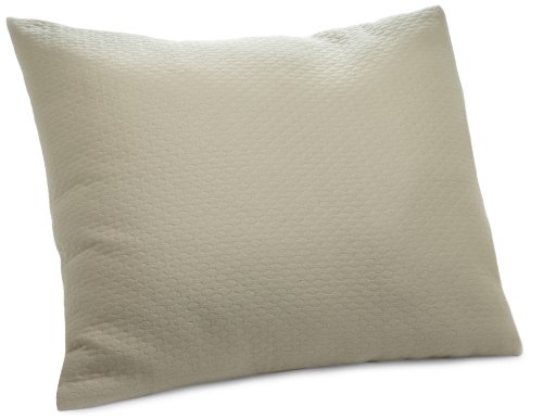 Calvin Klein Poppy Oval Bands European Sham, Bisque